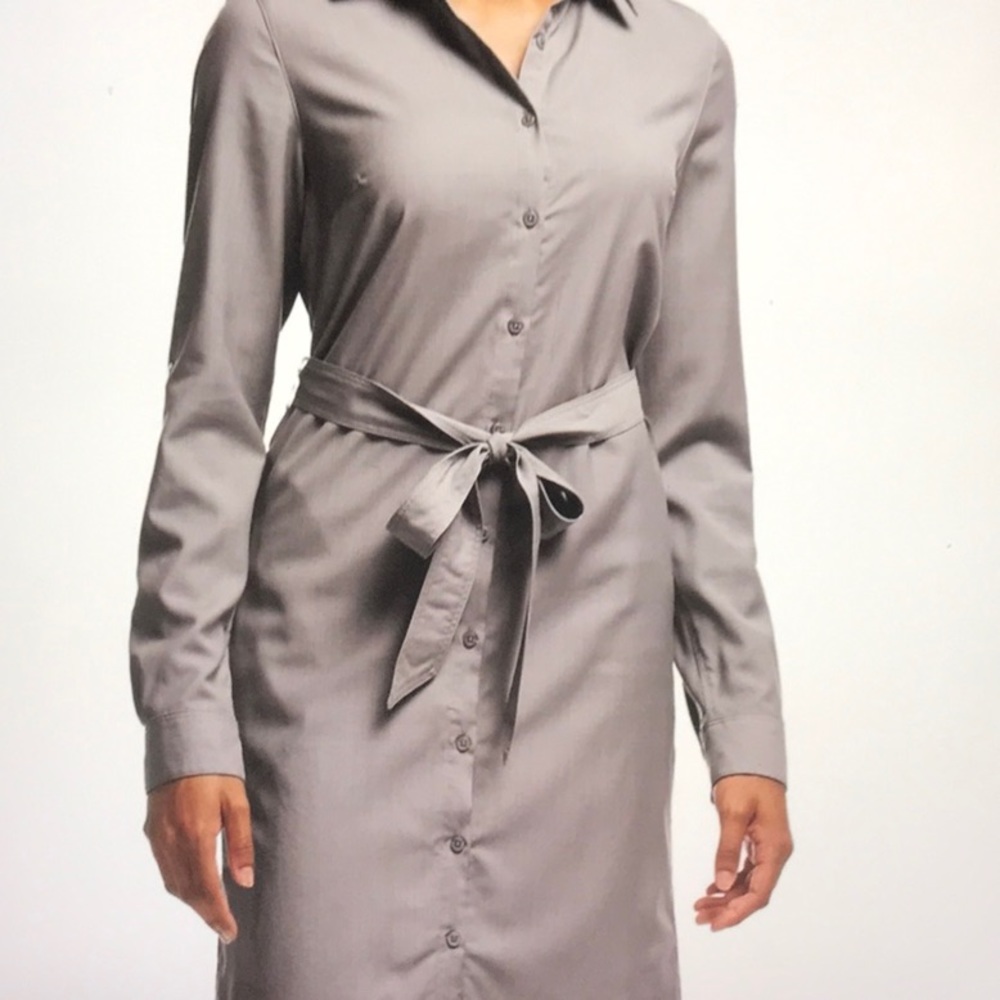 Icebreaker destiny merino dress light gray medium